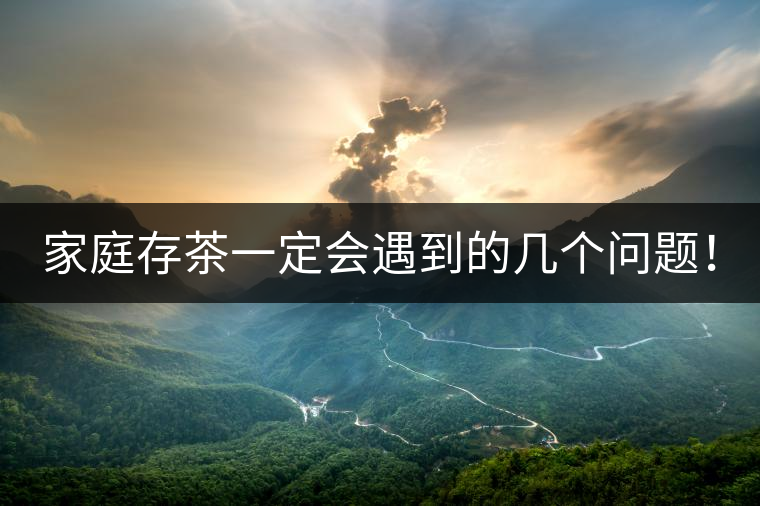 家庭存茶一定會遇到的幾個問題！