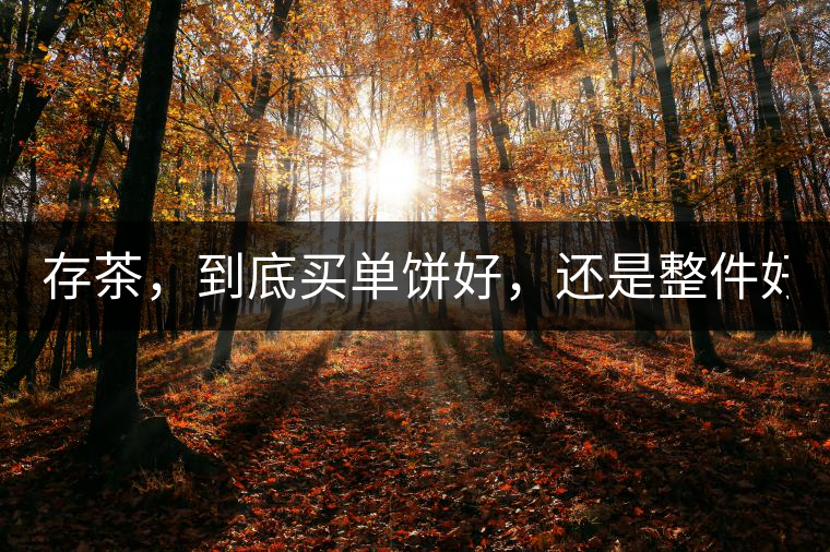 存茶，到底買(mǎi)單餅好，還是整件好？