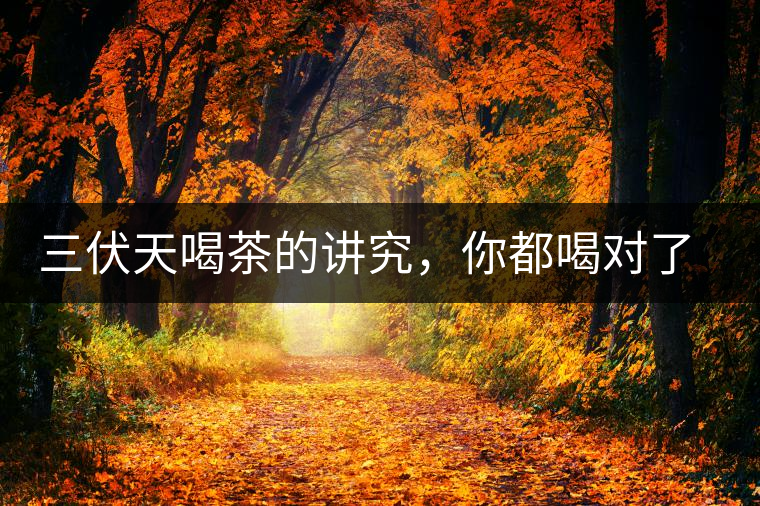 三伏天喝茶的講究，你都喝對(duì)了嗎？