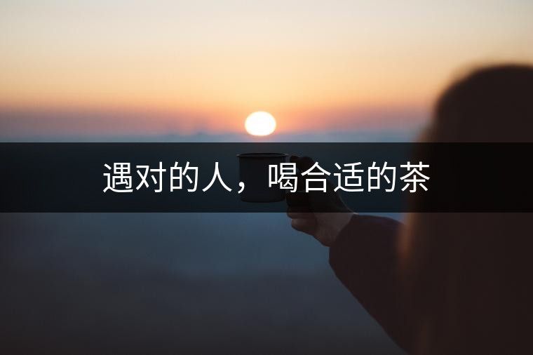 遇對的人，喝合適的茶