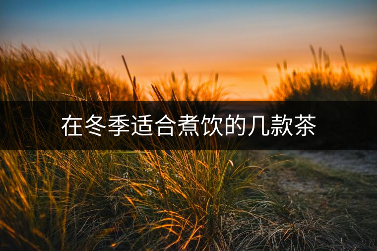 在冬季適合煮飲的幾款茶