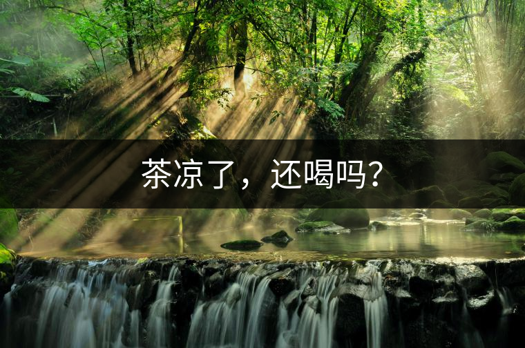 茶涼了，還喝嗎？