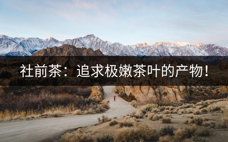 社前茶：追求極嫩茶葉的產(chǎn)物！