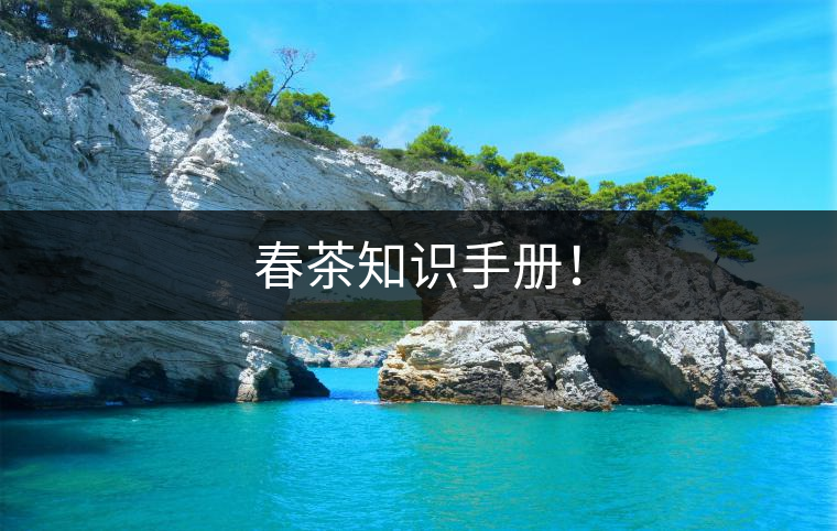 春茶知識(shí)手冊(cè)！
