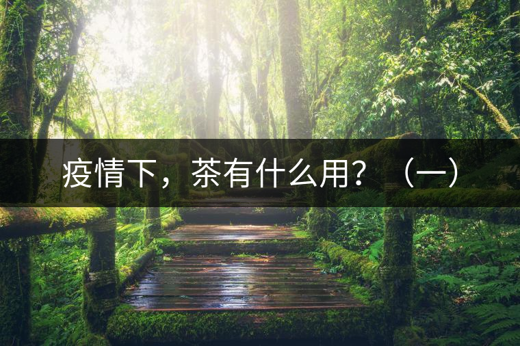 疫情下，茶有什么用？（一）