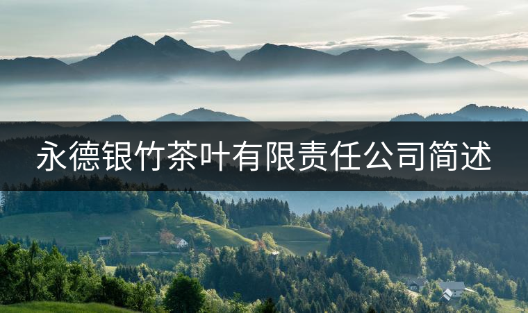 永德銀竹茶葉有限責(zé)任公司簡(jiǎn)述