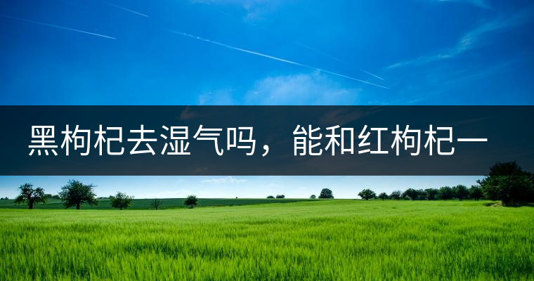 黑枸杞去濕氣嗎，能和紅枸杞一起泡嗎？