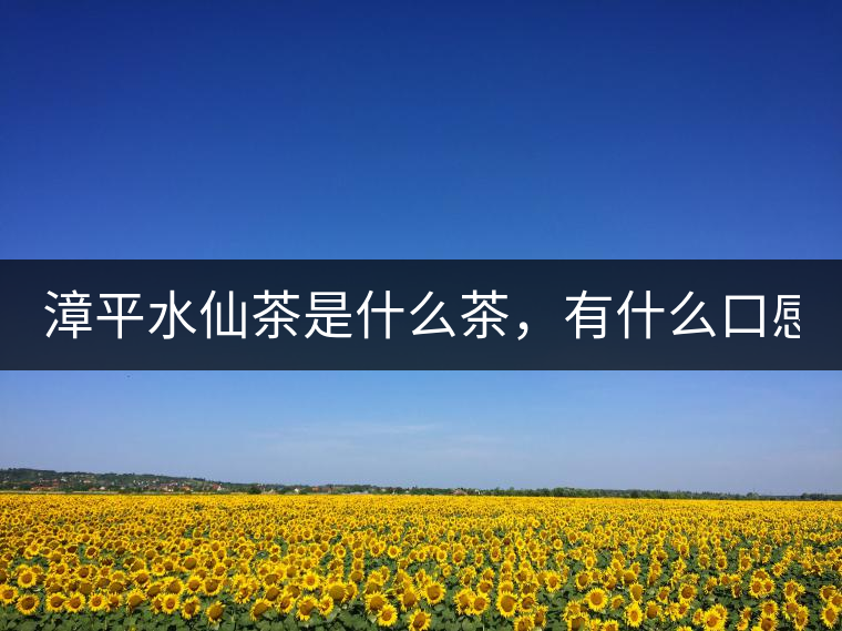 漳平水仙茶是什么茶，有什么口感特點(diǎn)！