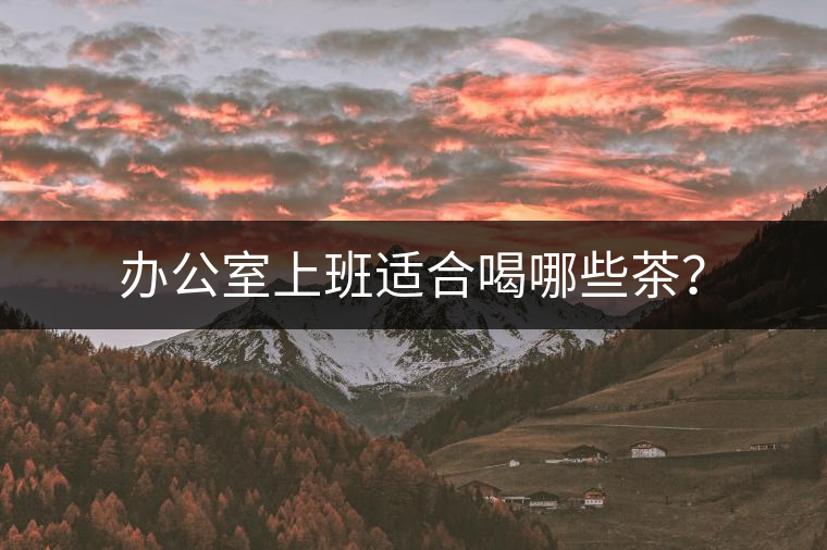 辦公室上班適合喝哪些茶？