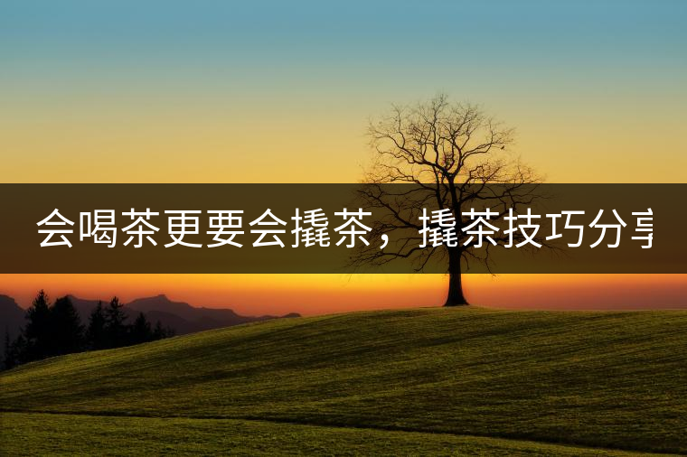 會喝茶更要會撬茶，撬茶技巧分享！