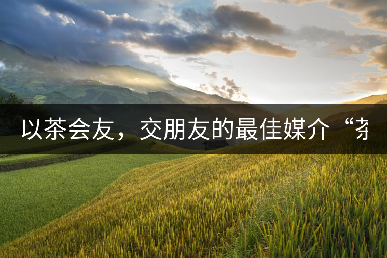 以茶會友，交朋友的最佳媒介“茶”！
