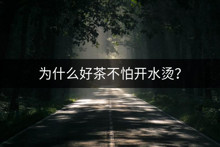 為什么好茶不怕開(kāi)水燙？