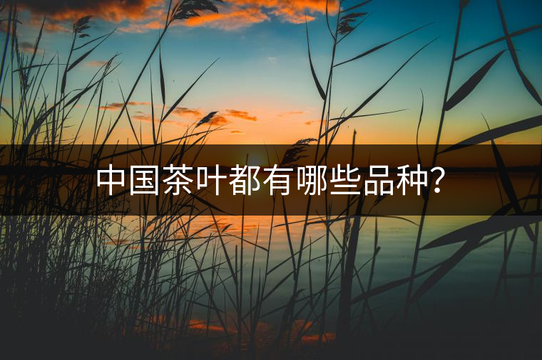 中國茶葉都有哪些品種？