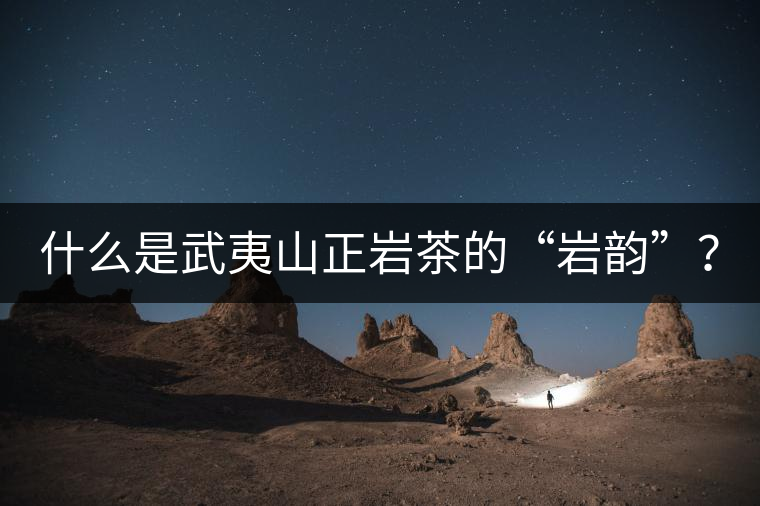 什么是武夷山正巖茶的“巖韻”？