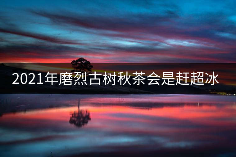 2021年磨烈古樹秋茶會是趕超冰島的存在嗎？