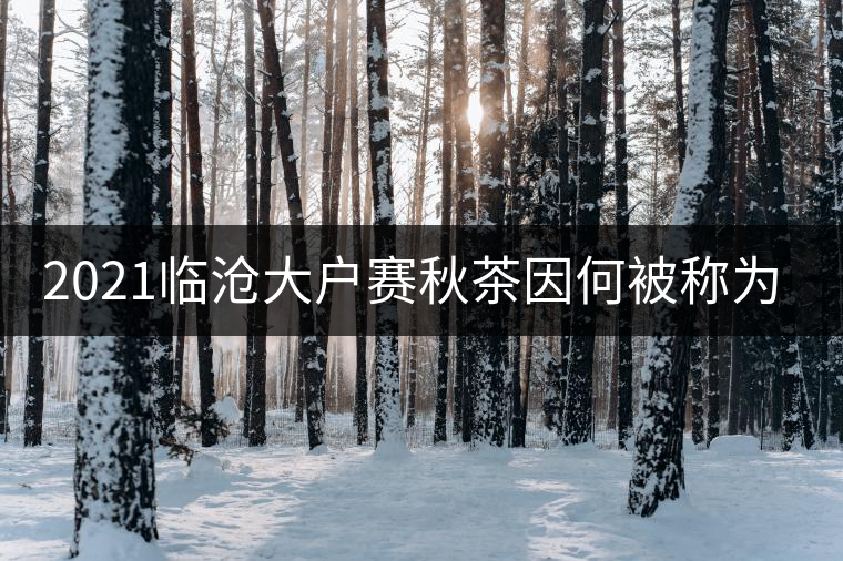 2021臨滄大戶賽秋茶因何被稱為潛力股？