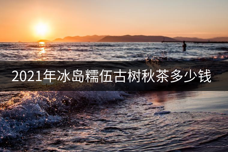 2021年冰島糯伍古樹秋茶多少錢一公斤？