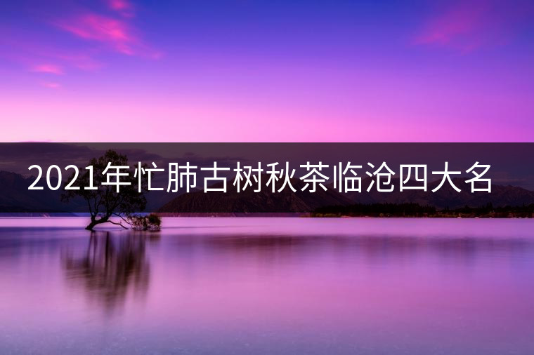 2021年忙肺古樹秋茶臨滄四大名茶之一！