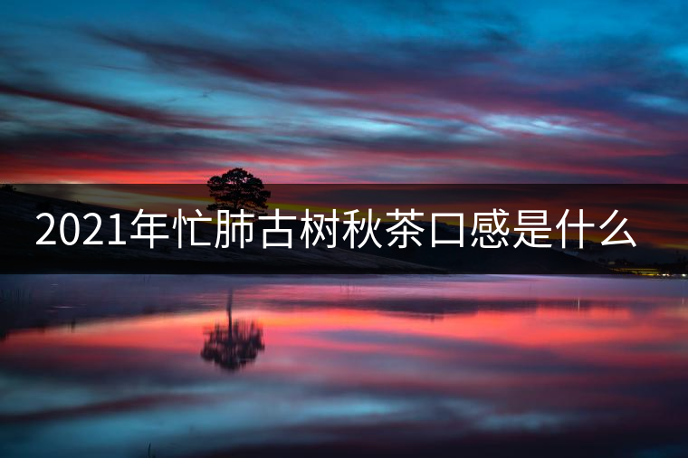 2021年忙肺古樹秋茶口感是什么?