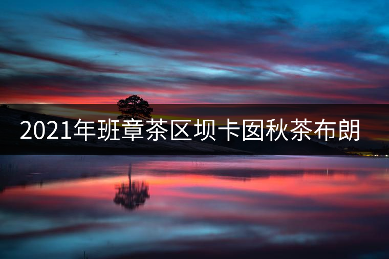 2021年班章茶區(qū)壩卡囡秋茶布朗茶系中的甜茶類！