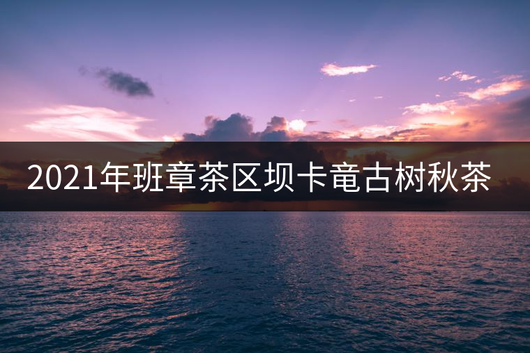 2021年班章茶區(qū)壩卡竜古樹秋茶多少錢一公斤？