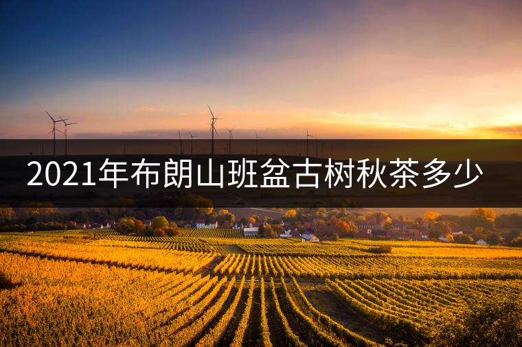 2021年布朗山班盆古樹秋茶多少錢一公斤？