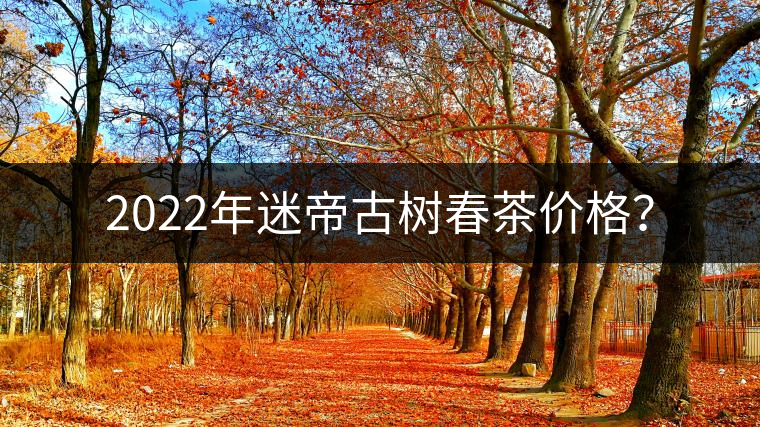 2022年迷帝古樹(shù)春茶價(jià)格？