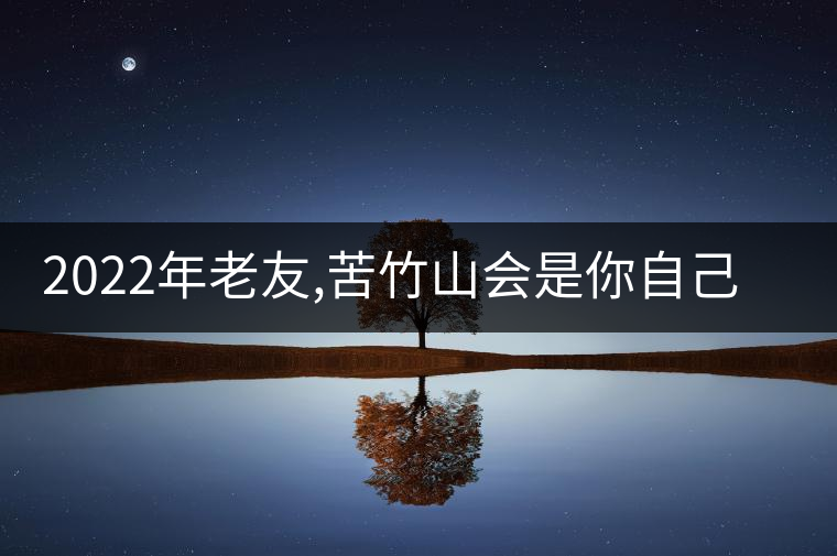 2022年老友,苦竹山會是你自己的標(biāo)桿茶嗎?