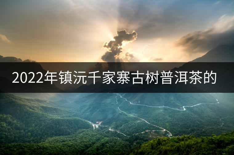 2022年鎮(zhèn)沅千家寨古樹普洱茶的傳說