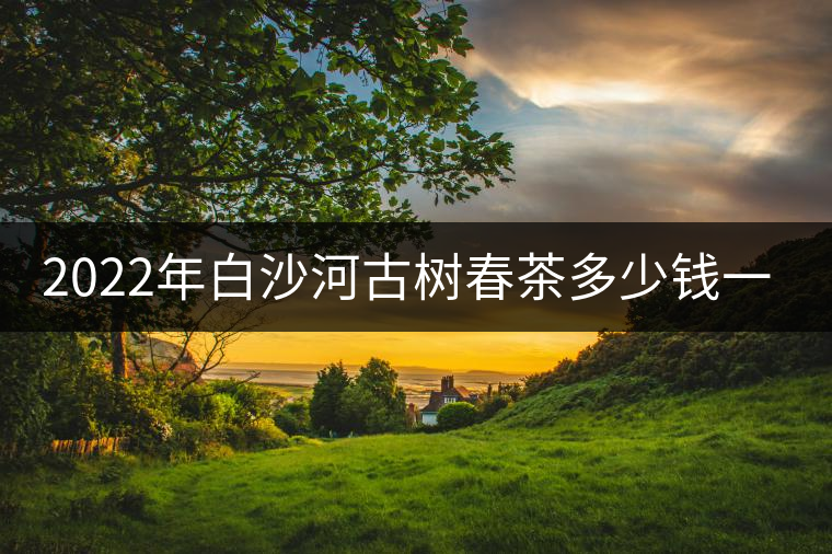 2022年白沙河古樹春茶多少錢一公斤？