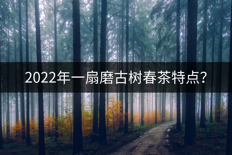 2022年一扇磨古樹春茶特點？