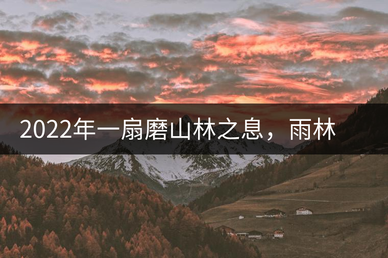 2022年一扇磨山林之息，雨林之味，原始之態(tài)