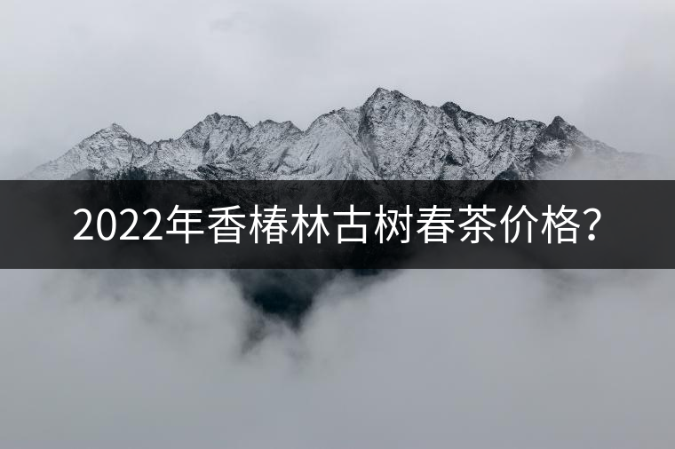 2022年香椿林古樹春茶價格？