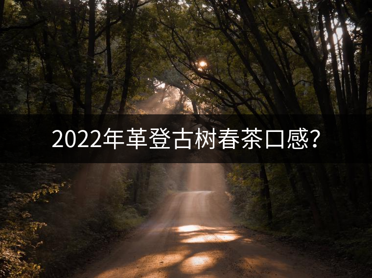 2022年革登古樹春茶口感？