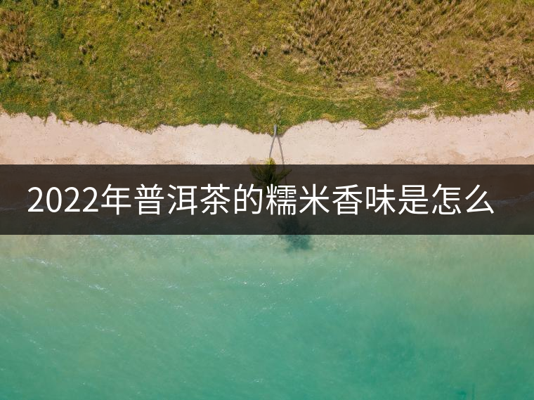 2022年普洱茶的糯米香味是怎么來的？