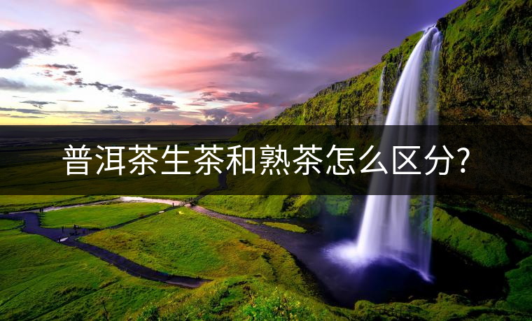 普洱茶生茶和熟茶怎么區(qū)分?