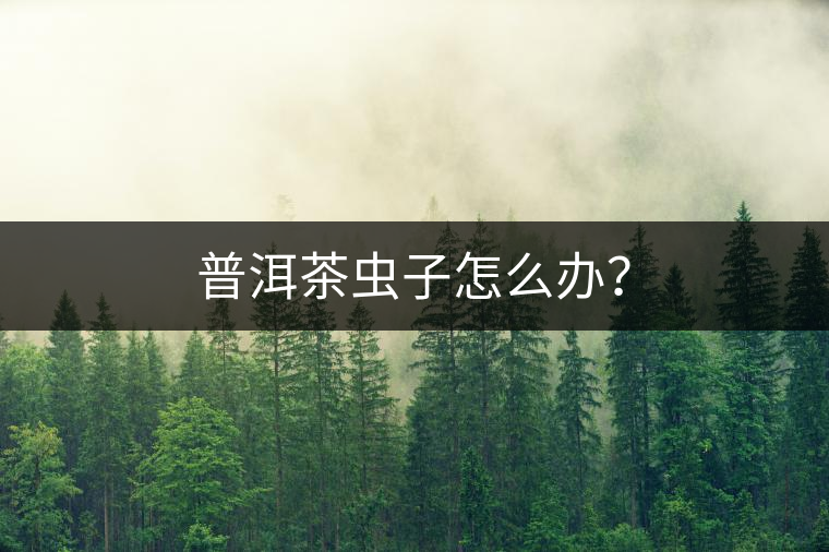 普洱茶蟲(chóng)子怎么辦？