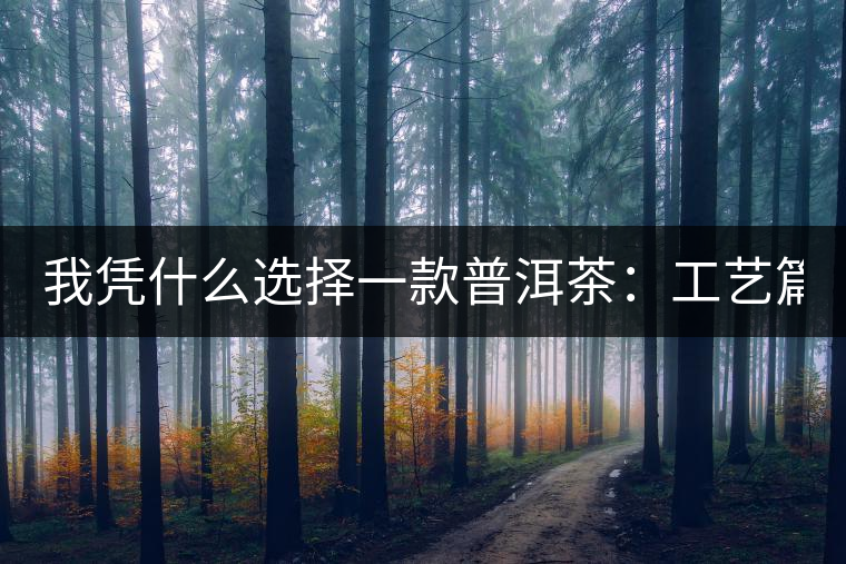 我憑什么選擇一款普洱茶：工藝篇？