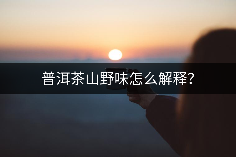 普洱茶山野味怎么解釋?zhuān)? alt=