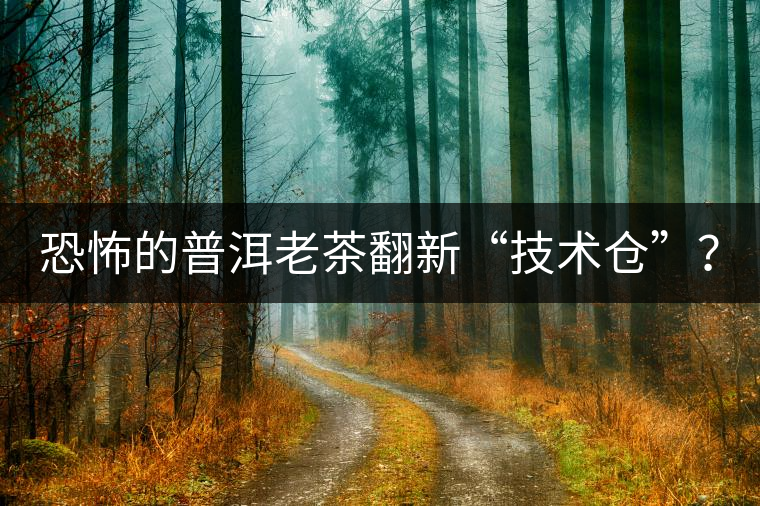 恐怖的普洱老茶翻新“技術(shù)倉”？