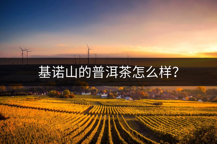 基諾山的普洱茶怎么樣？