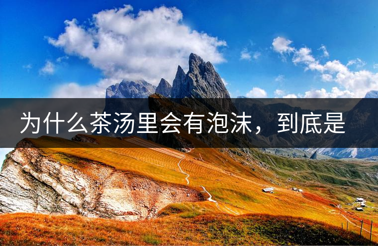 為什么茶湯里會有泡沫，到底是怎么回事？