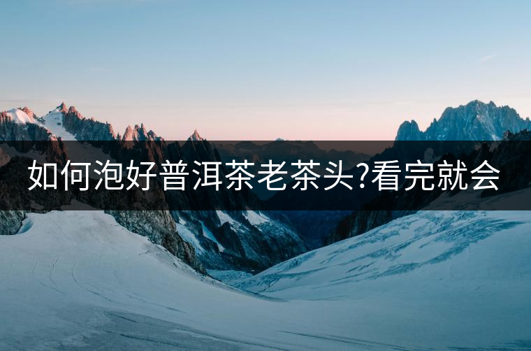 如何泡好普洱茶老茶頭?看完就會泡了! 如何泡好普洱茶老茶頭?看完就會泡了!