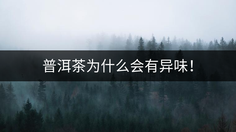 普洱茶為什么會(huì)有異味！