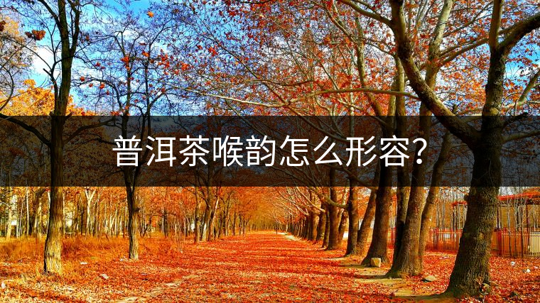 普洱茶喉韻怎么形容？