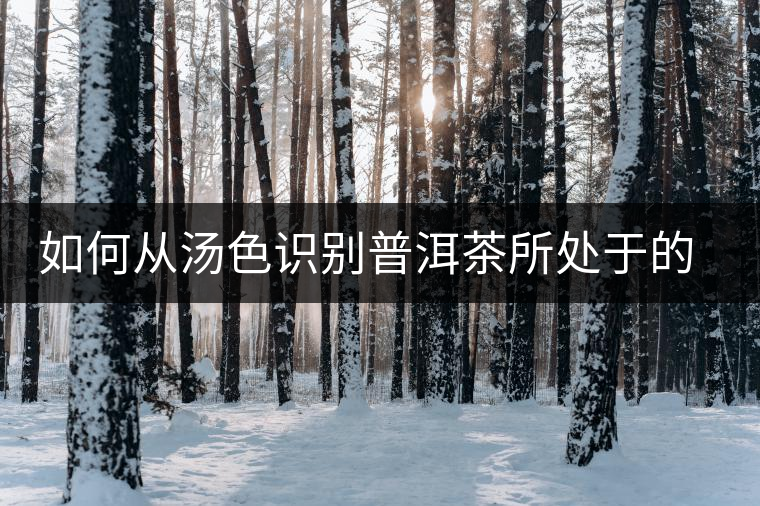 如何從湯色識(shí)別普洱茶所處于的轉(zhuǎn)化期？