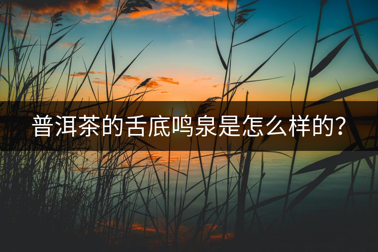 普洱茶的舌底鳴泉是怎么樣的？