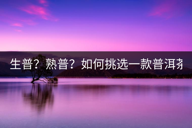 生普？熟普？如何挑選一款普洱茶？