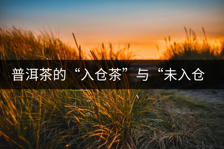 普洱茶的“入倉茶”與“未入倉茶”如何區(qū)分，你造嗎？
