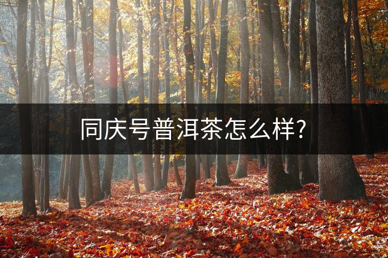 同慶號普洱茶怎么樣? 同慶號普洱茶怎么樣?
